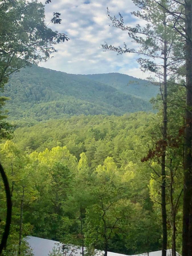 Mountain-Top Cabin Get-Away With Hot Tub And A View Sautee Nacoochee ภายนอก รูปภาพ